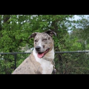 Meet your Posher, Christa